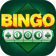 BINGO101